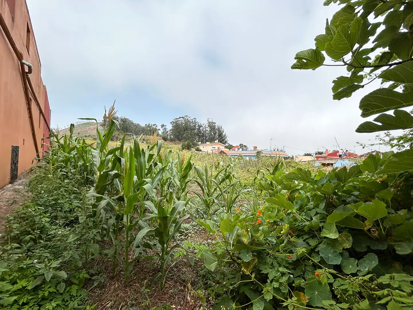 Country homes for sale in San Cristóbal de la Laguna