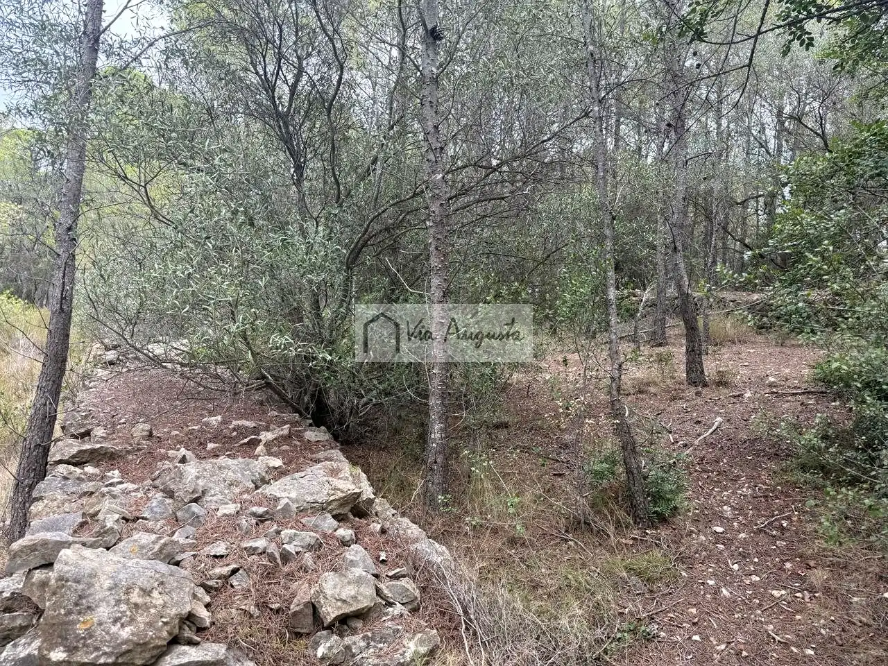 Terreno rústico en venta en Racons, imagen 12