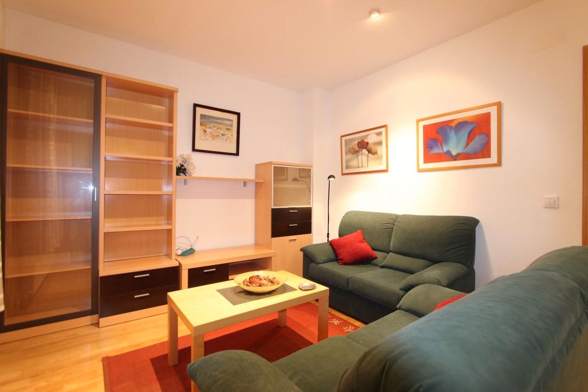 Living room of Apartment to rent in  Madrid Capital  with Air Conditioner, Furnished and Pets allowed