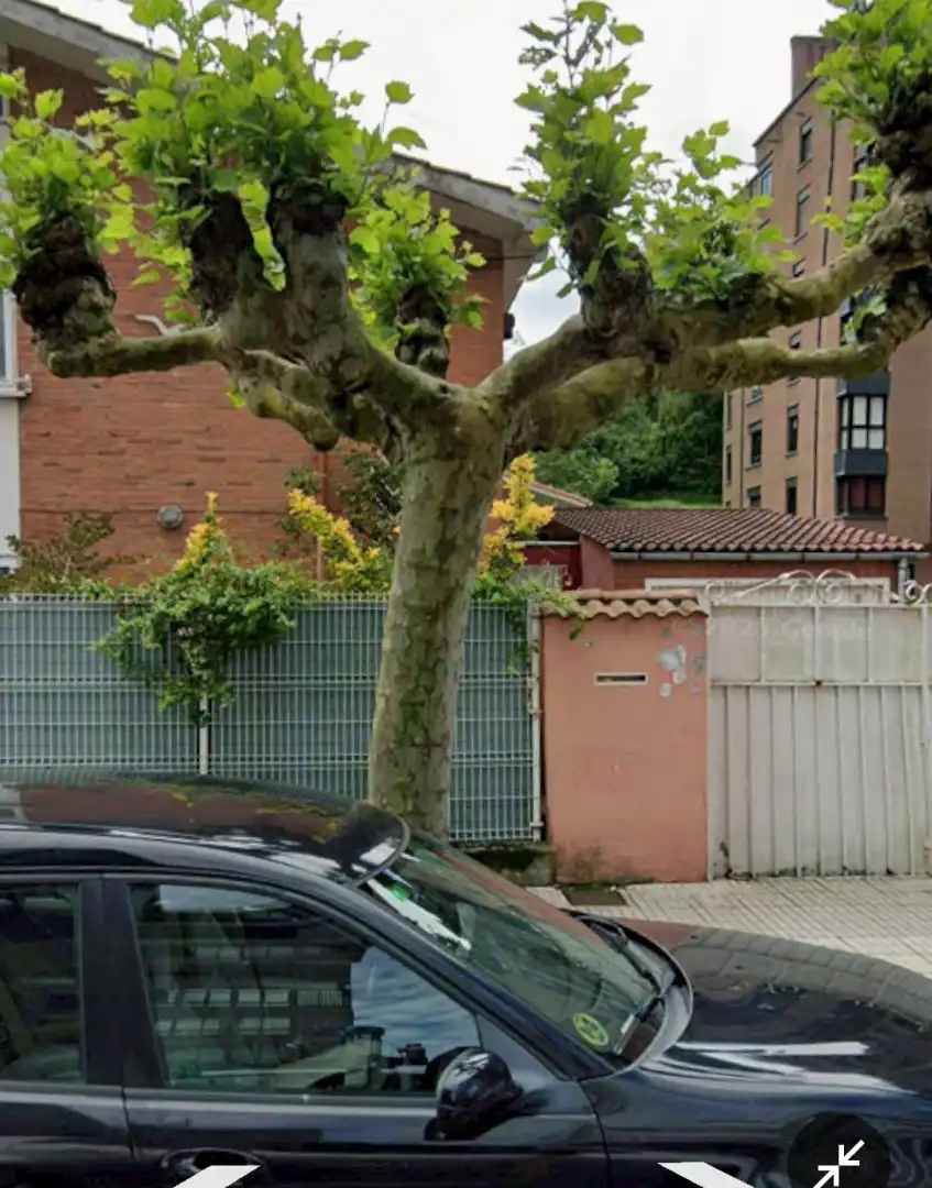 Außenansicht von Einfamilien-Reihenhaus zum Verkauf in Castrillón mit Heizung, Privatgarten und Terrasse