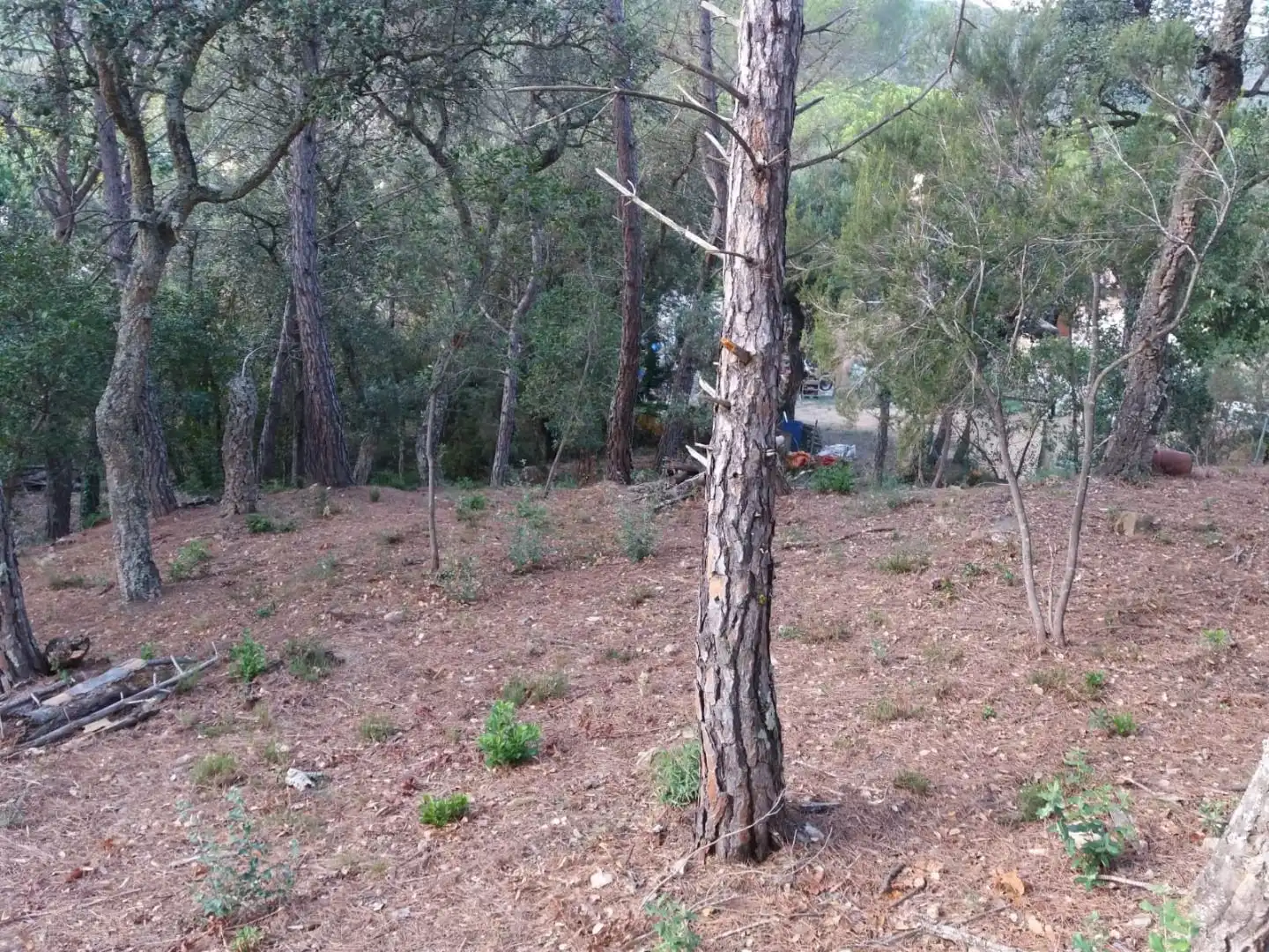 Terreno residencial en venta en Avinguda del Bell-lloc, imagen 11