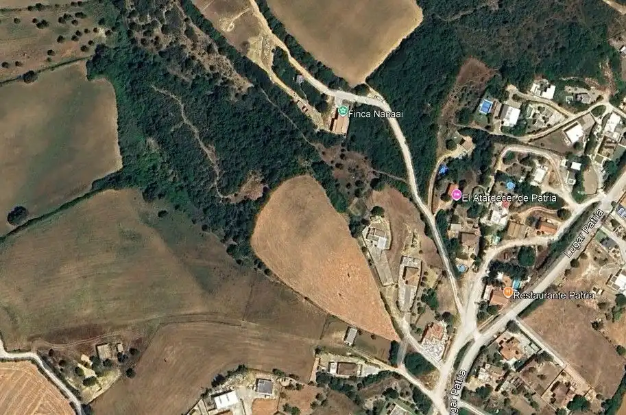 Terreny rústic en venda a Polígono 55 Parcela 240 Lugar Patria, imagen 4