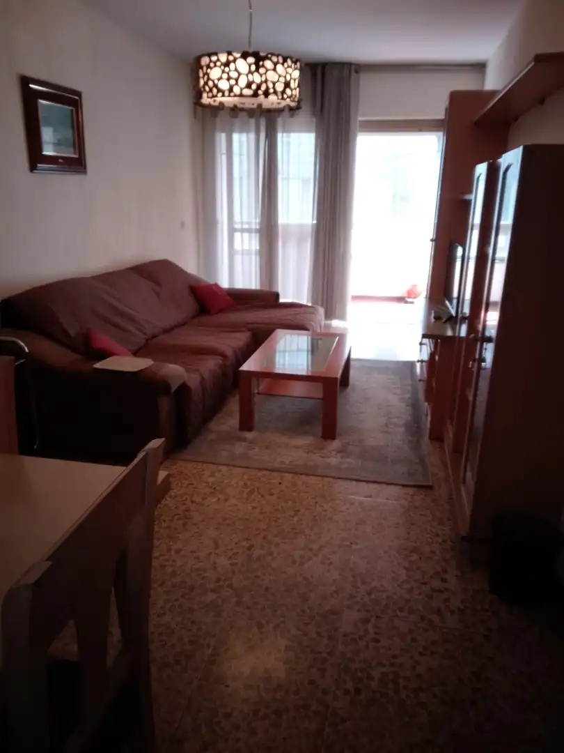 Living room of Flat for rent in Pontevedra Capital   with Heating, Furnished and Oven