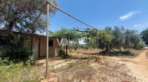 Terreno con almacén, immagine 3
