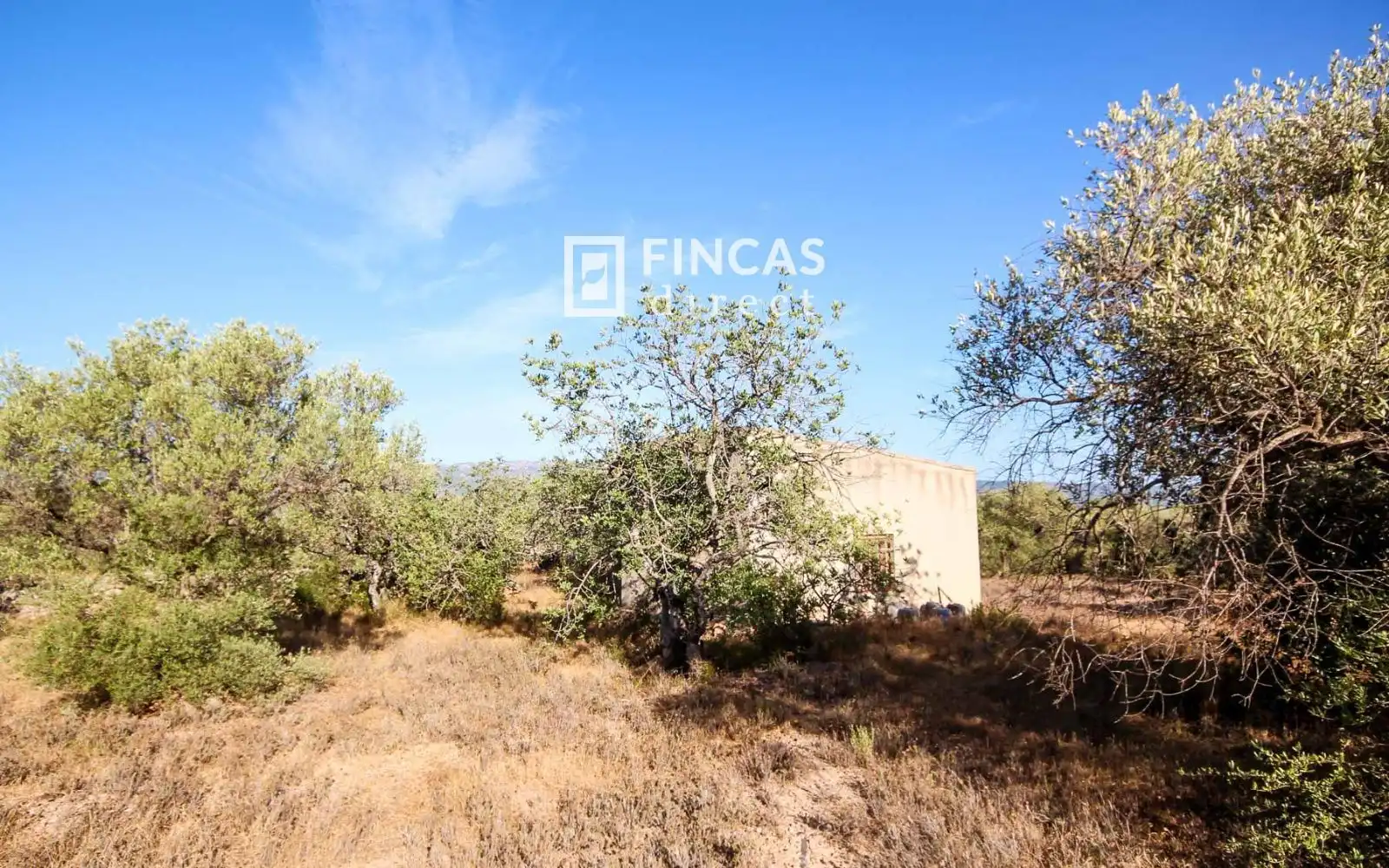 Country homes for sale in Xerta