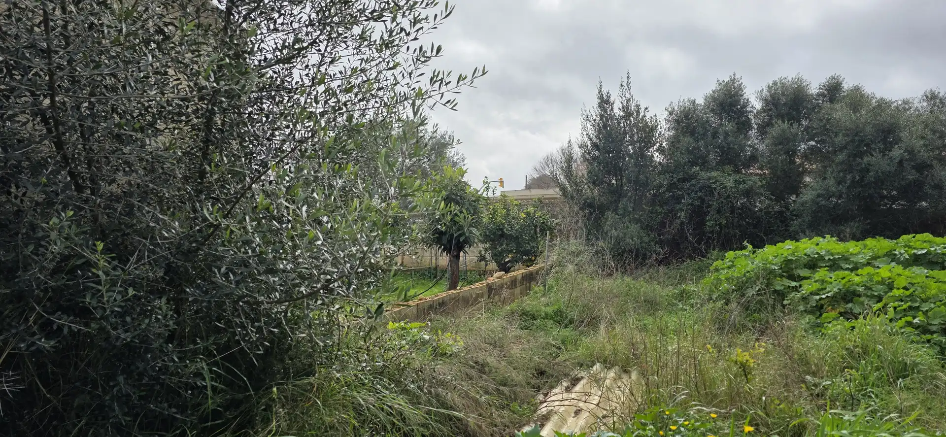 Residential land for sale in Sant Llorenç des Cardassar, imagen 2
