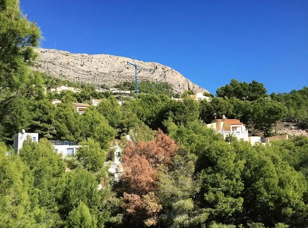 Residential land for sale in Calle Calle Italia 38, imagen 4