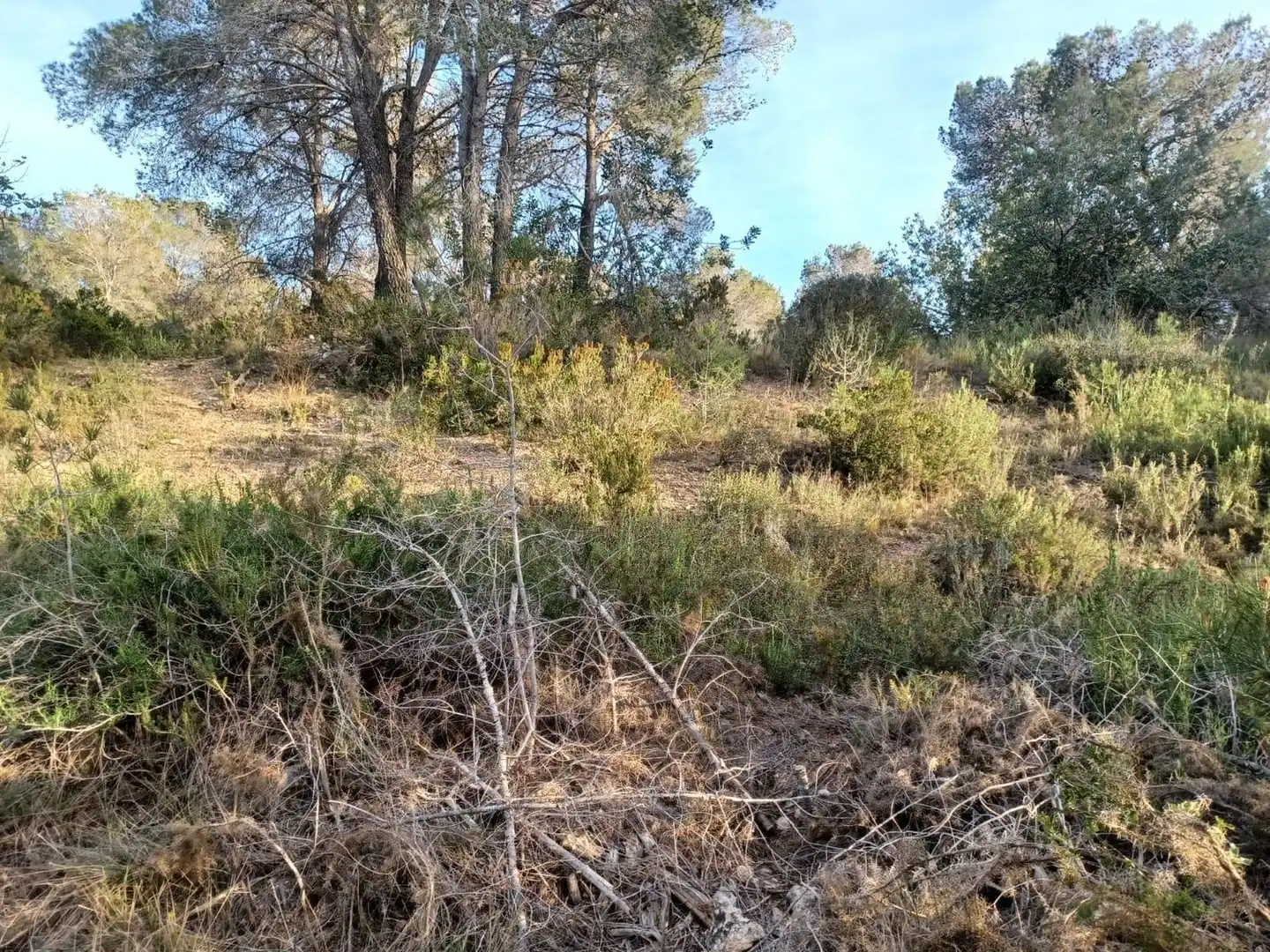 Terreno residencial en venta en dels Morts, imagen 7