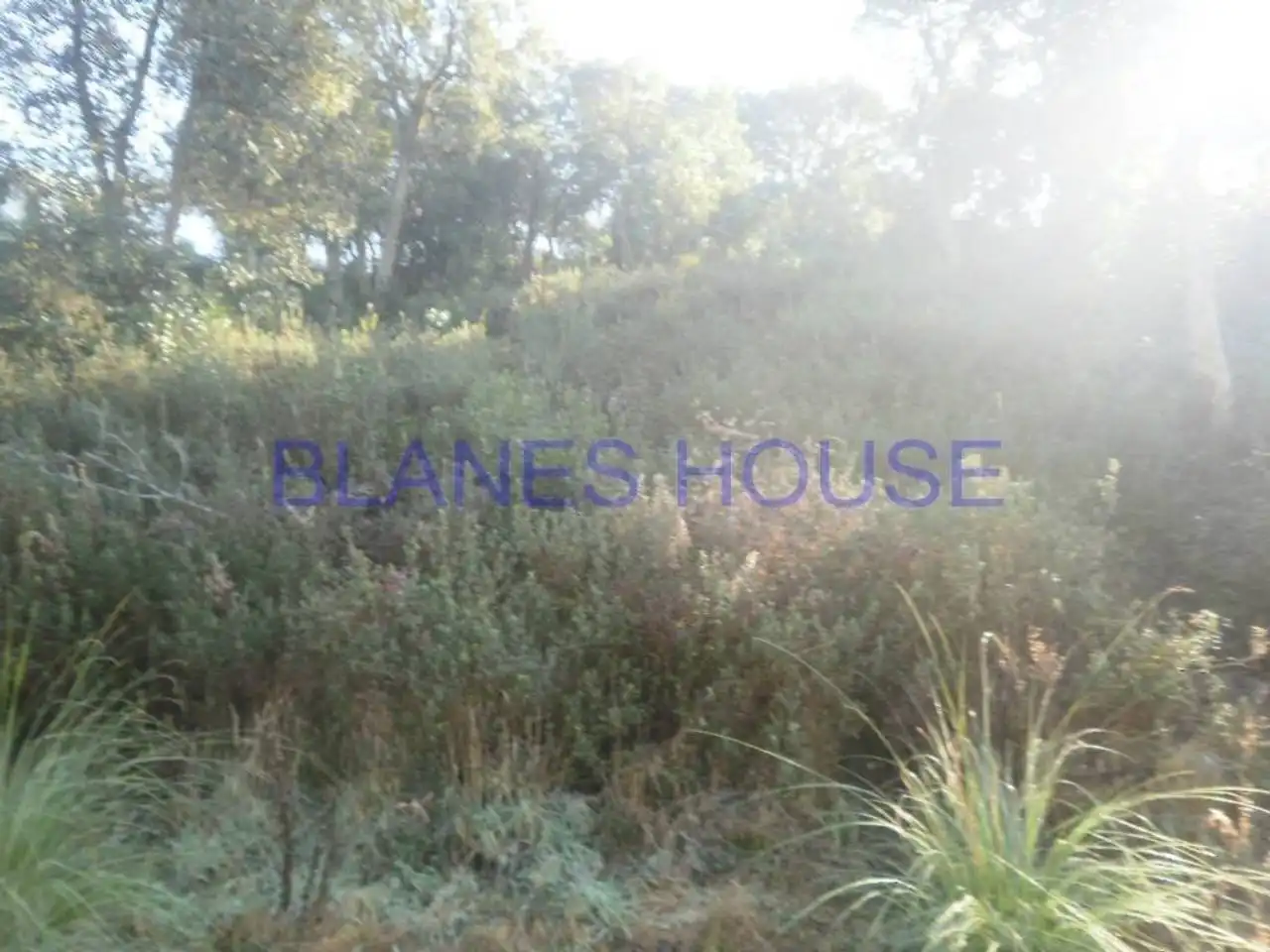 Terreno residencial en venta en Montbarbat, imagen 4