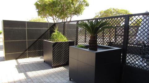 Foto 2 de Planta baixa en venda a Poble Nou - Montiboli, Alicante