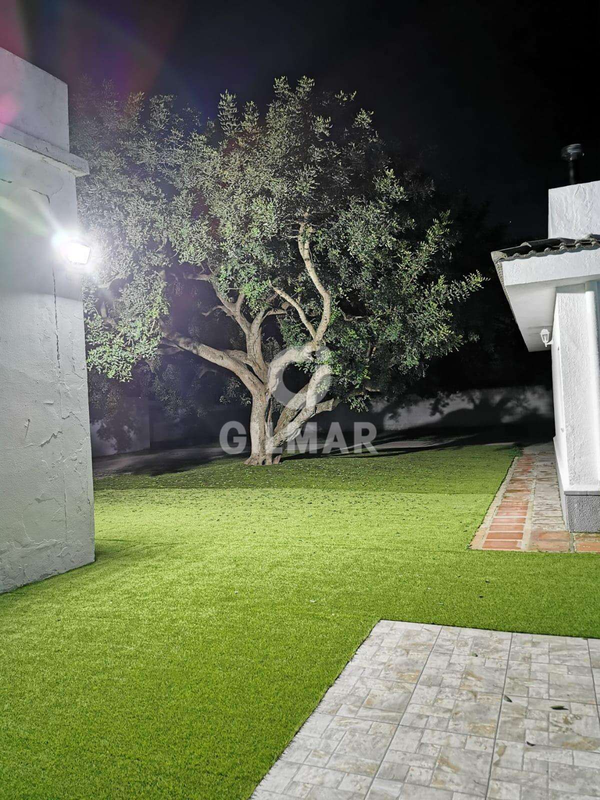 Garden of House or chalet to rent in Chiclana de la Frontera  with Private garden, Terrace and Swimming Pool