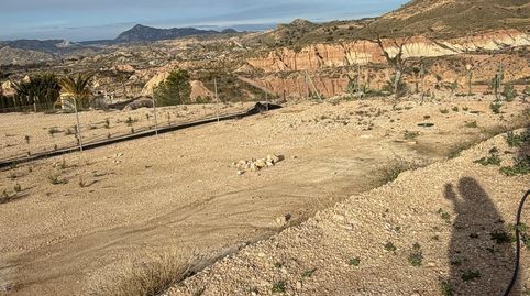 Foto 4 de Casa o chalet en venta en Abanilla, 9, Abanilla, Murcia