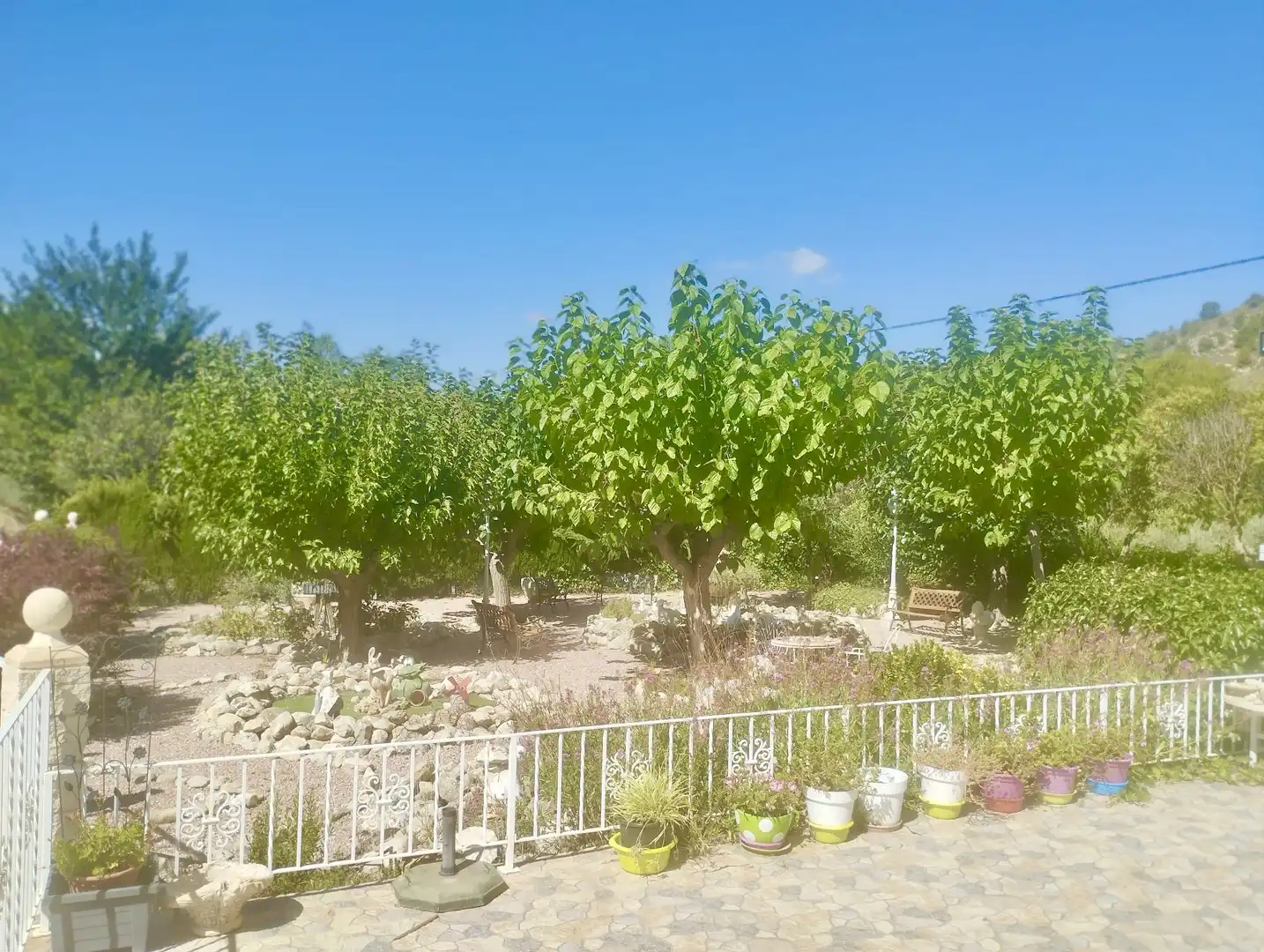 Garden of Houses for sale in Petrer  with Private garden and Swimming Pool