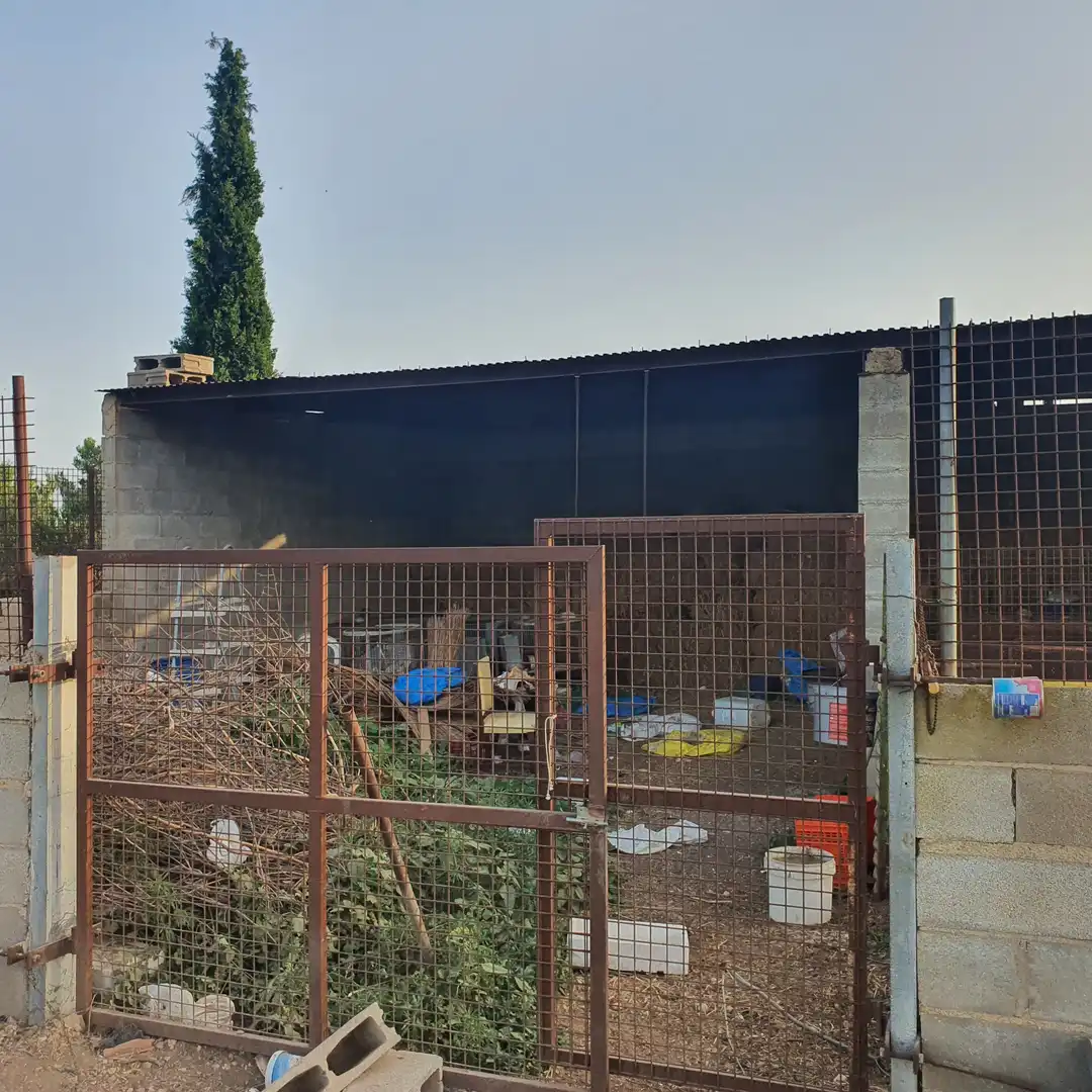 Maison à vendre à El Pinell de Brai, imagen 3