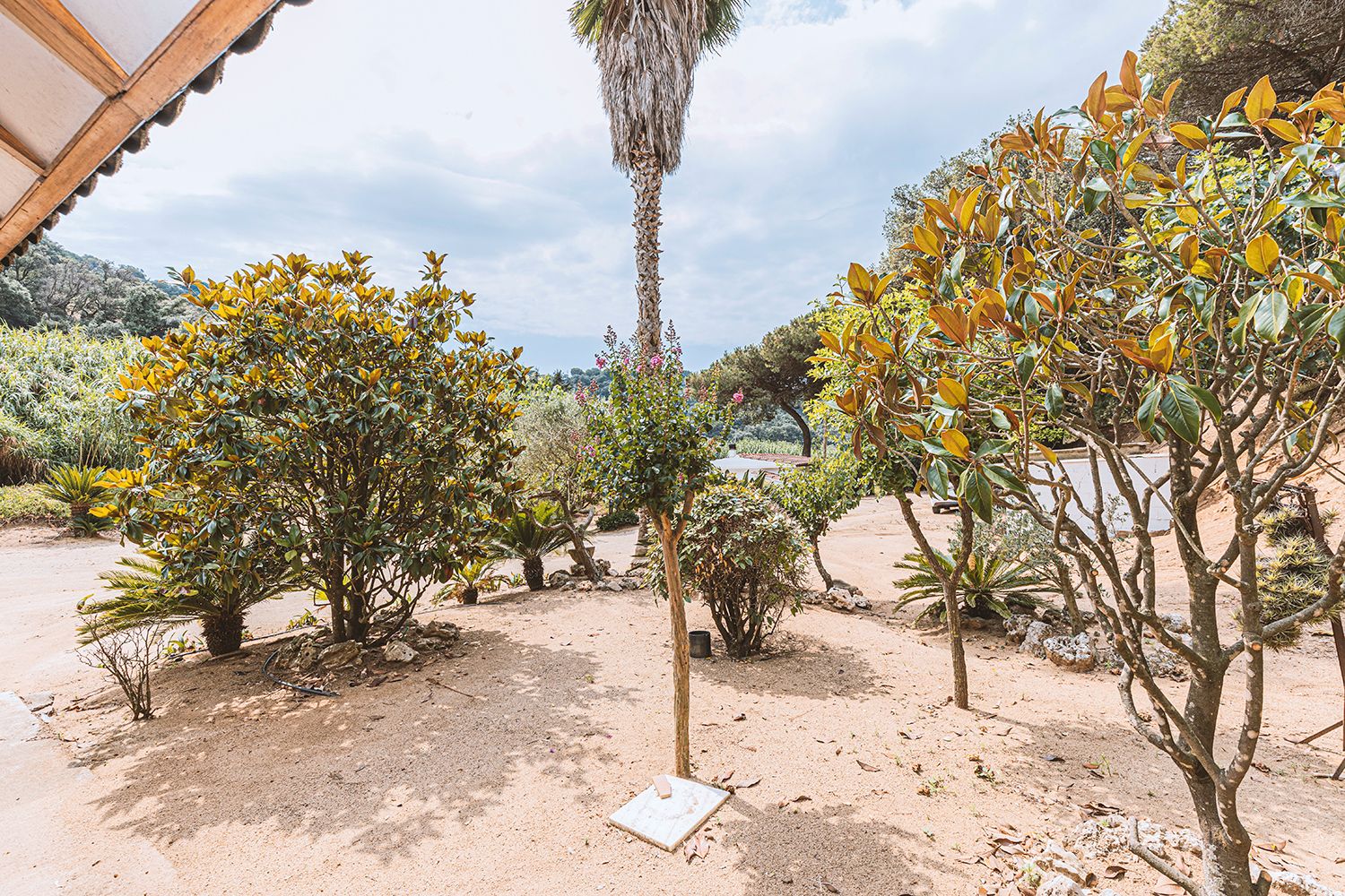 Garden of Land for sale in Sant Pol de Mar