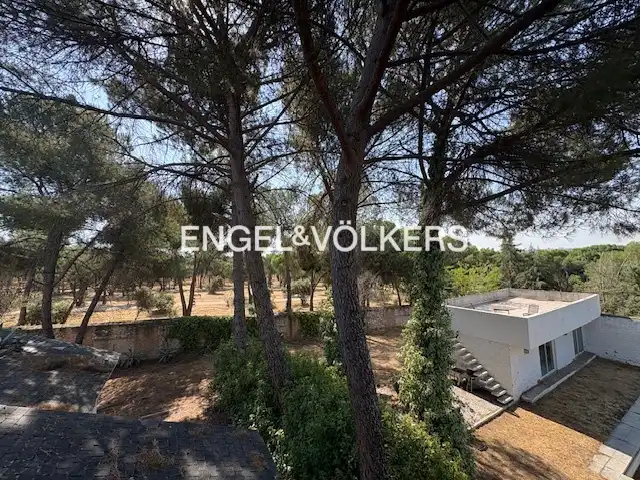 Casa con piscina en venta en Somosaguas, imagen 28