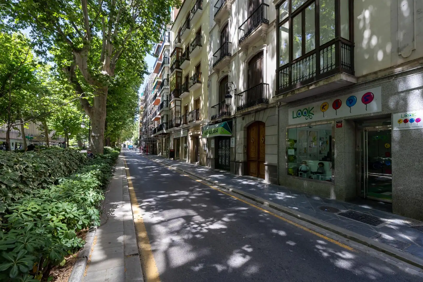 Business premises for transfer in Calle CARRERA DE LA VIRGEN 17, imagen 13