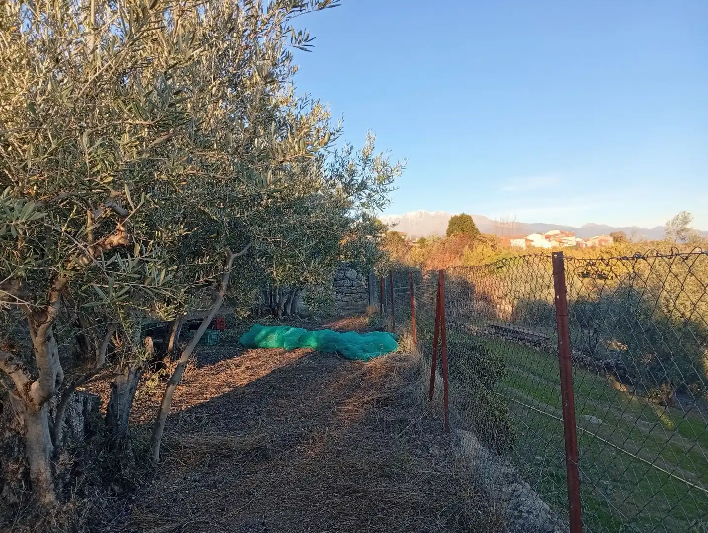Terreni e lotti in vendita a Villanueva de la Vera, imagen 17