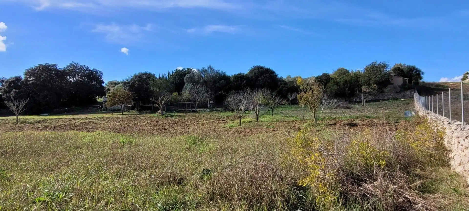 Terrain résidentiel à vendre à Manacor Centre, imagen 12