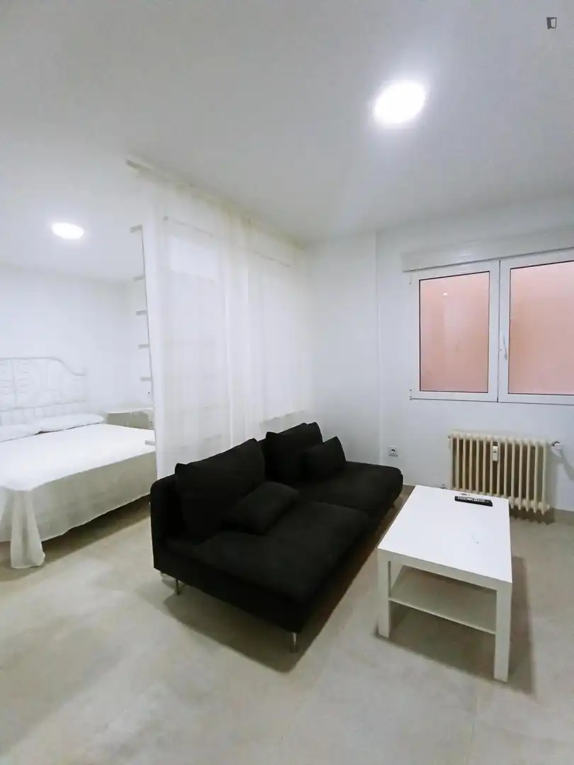 Monolocale in affitto a Centro, imagen 15