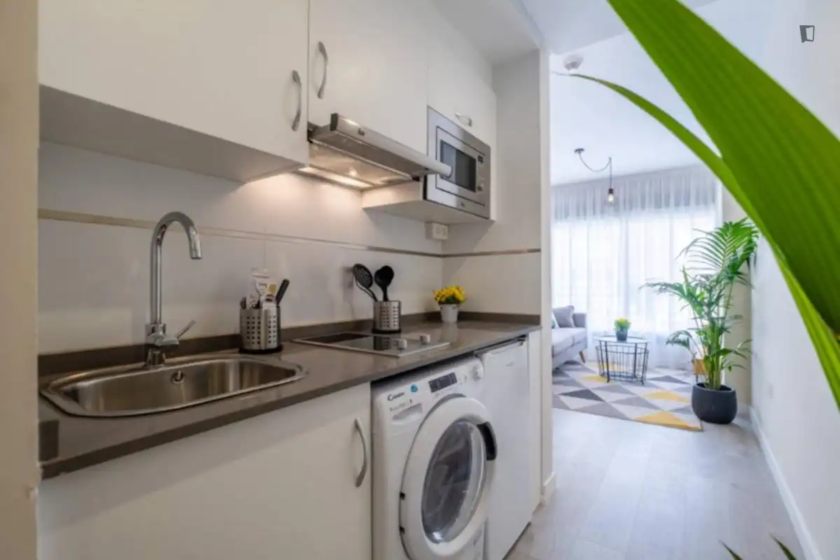 Kitchen of Study for rent in Málaga  with Air Conditioner, Furnished and Washing machine
