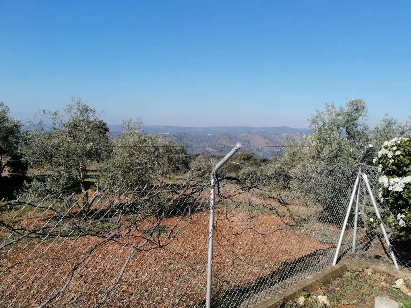 Casa amb jardí en venda a Montoro, imagen 26