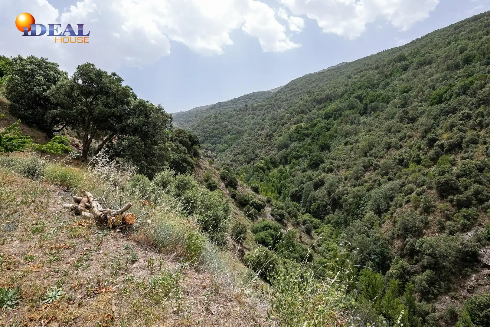 Terreni e lotti in vendita a Majadillas, imagen 45