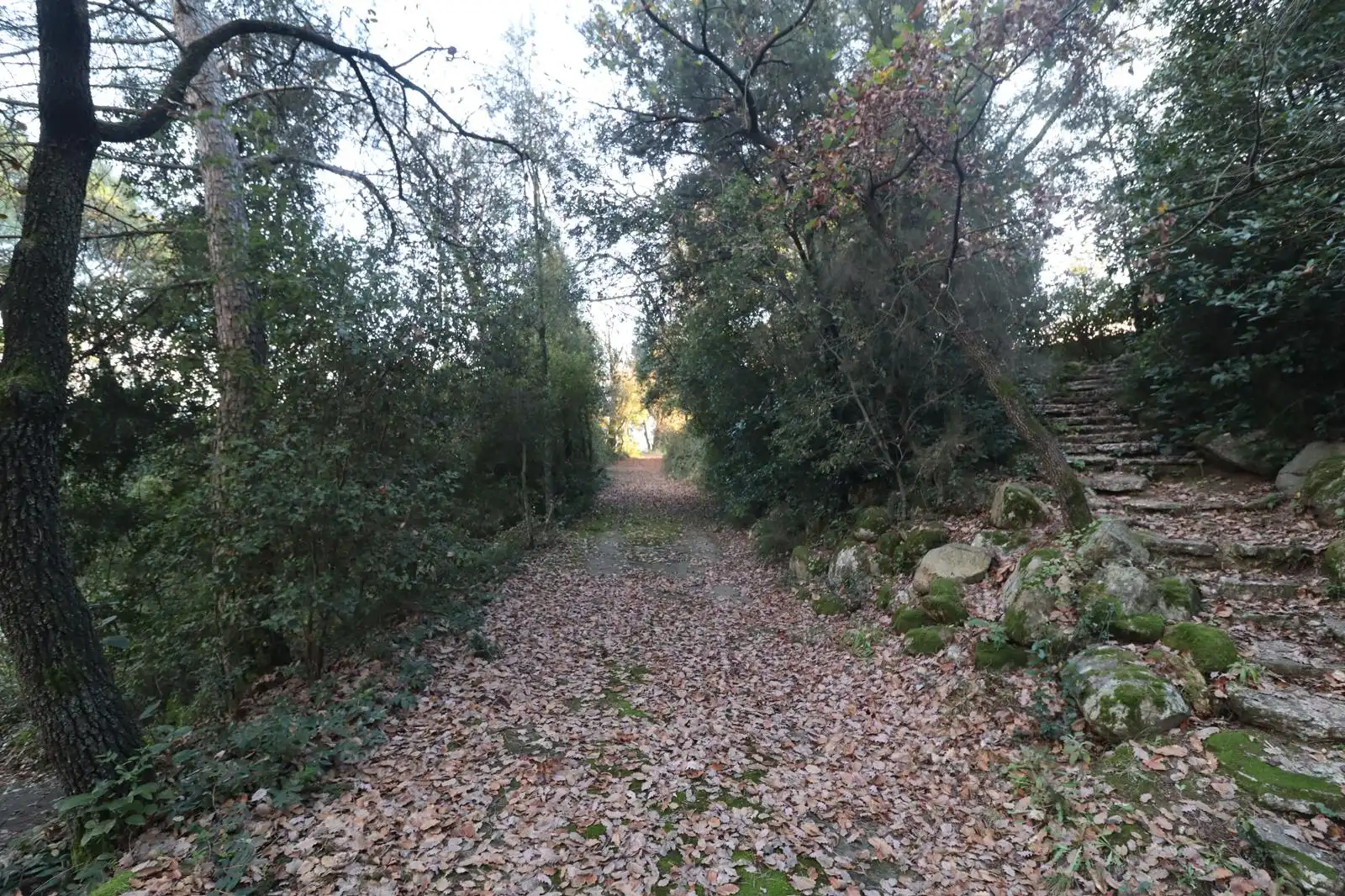 Casa o xalet en venda en Sant Antoni de Vilamajor amb Calefacció, Jardí privat i Terrassa