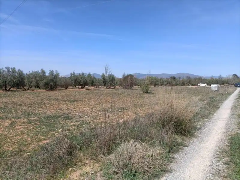 Terrenys i solars en venda a Albolote, imagen 9