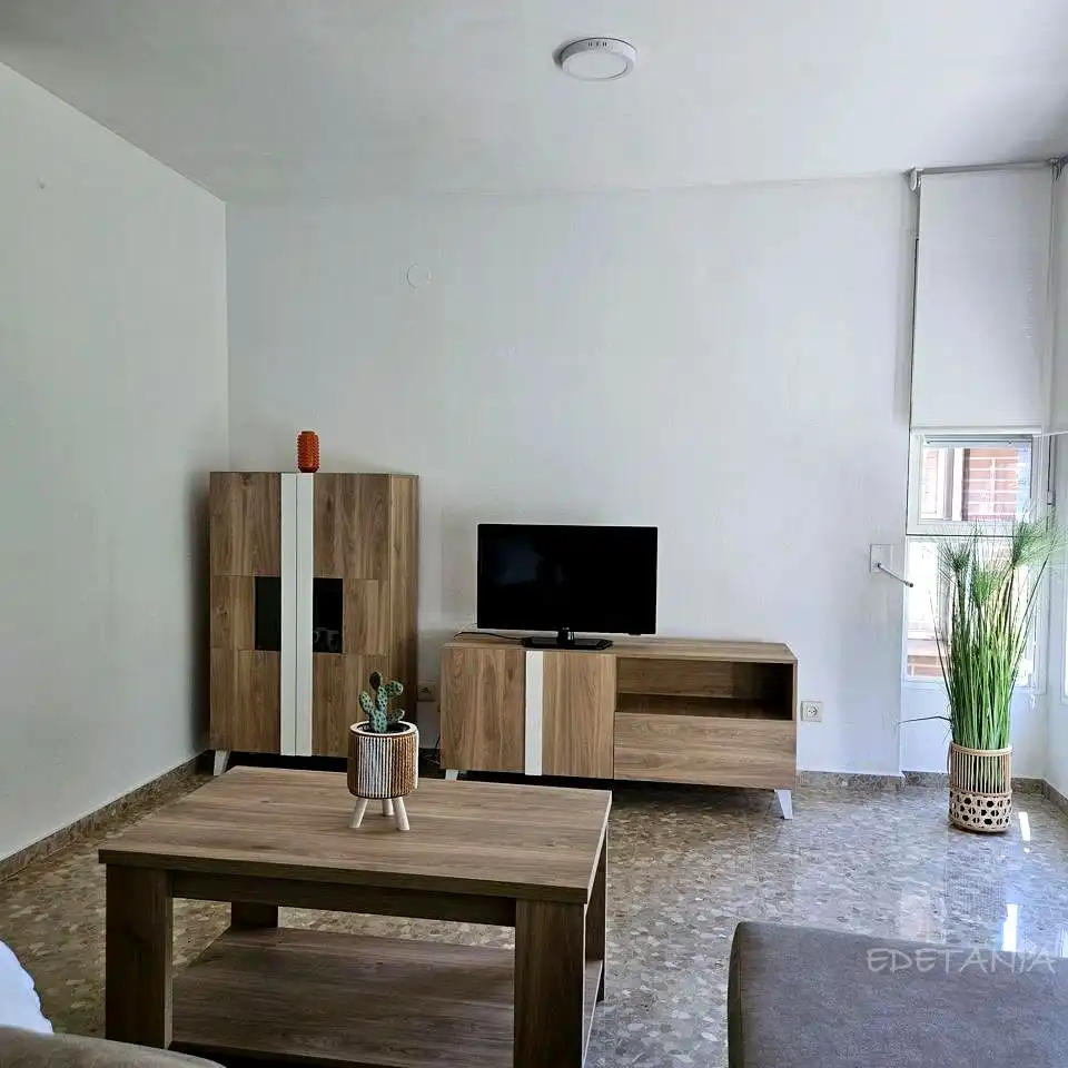 Sala d'estar de Pis de lloguer en Moncada amb Aire condicionat, Terrassa i Moblat