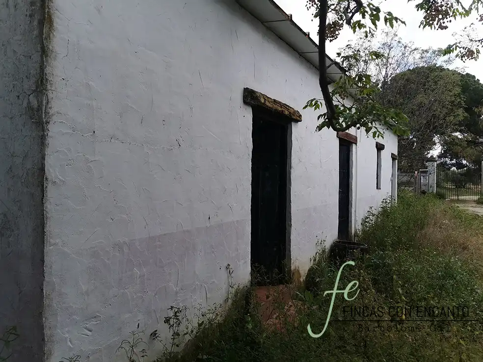 Vista exterior de Finca rústica en venda en Marchena amb Aire condicionat, Terrassa i Piscina
