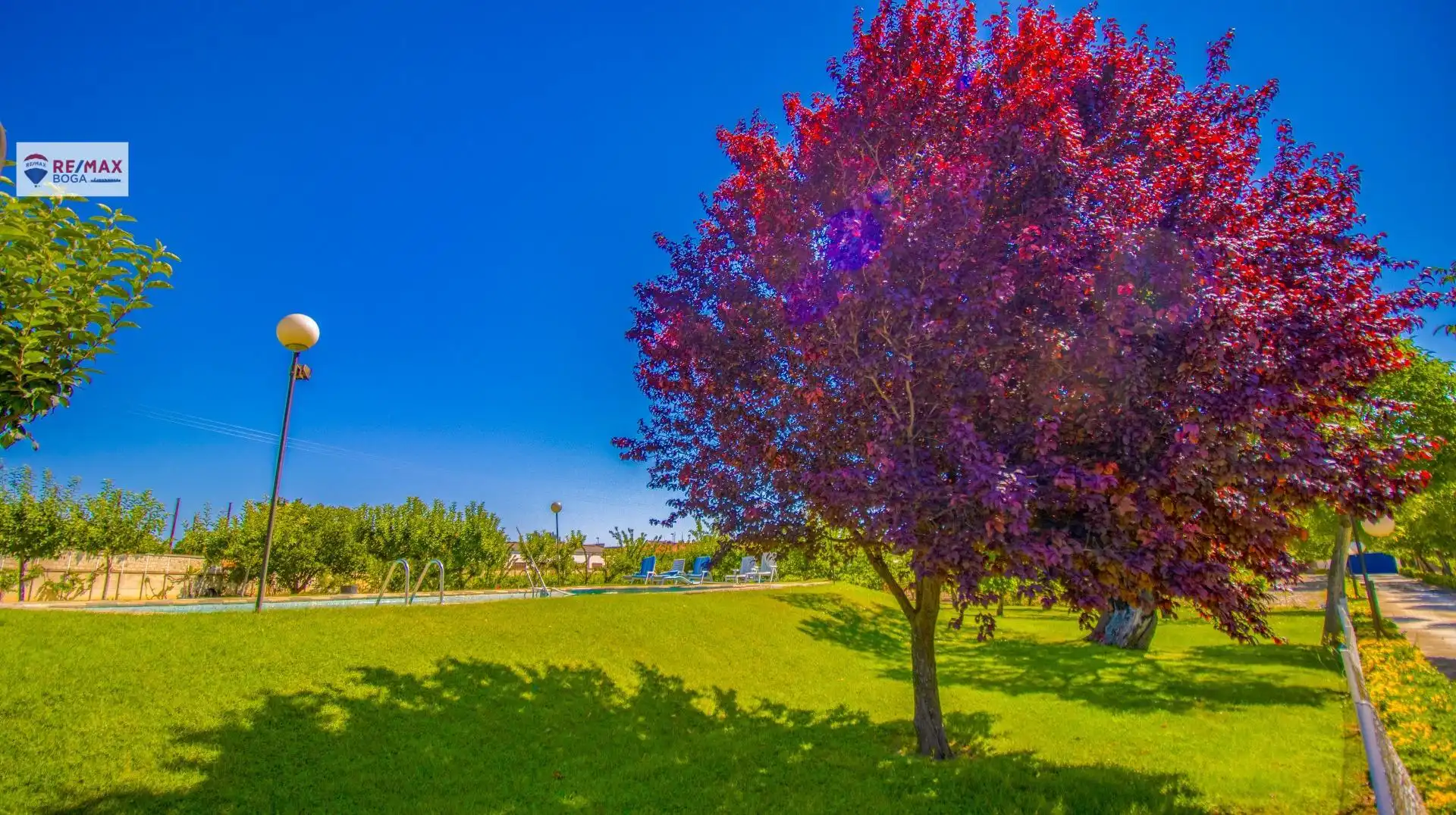Jardí de Casa o xalet en venda en Oyón-Oion amb Aire condicionat, Jardí privat i Parquet