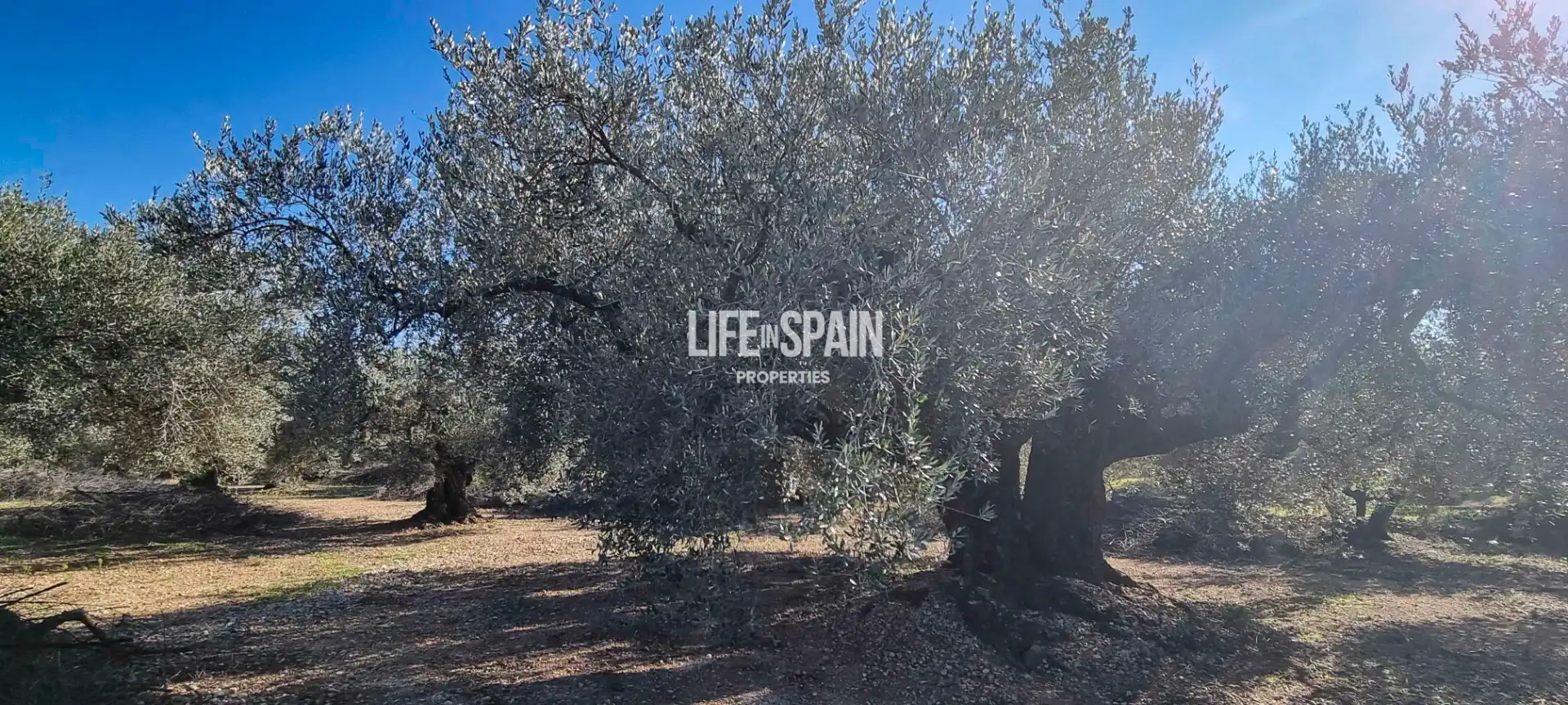 Country house for sale in Roquetes, imagen 7