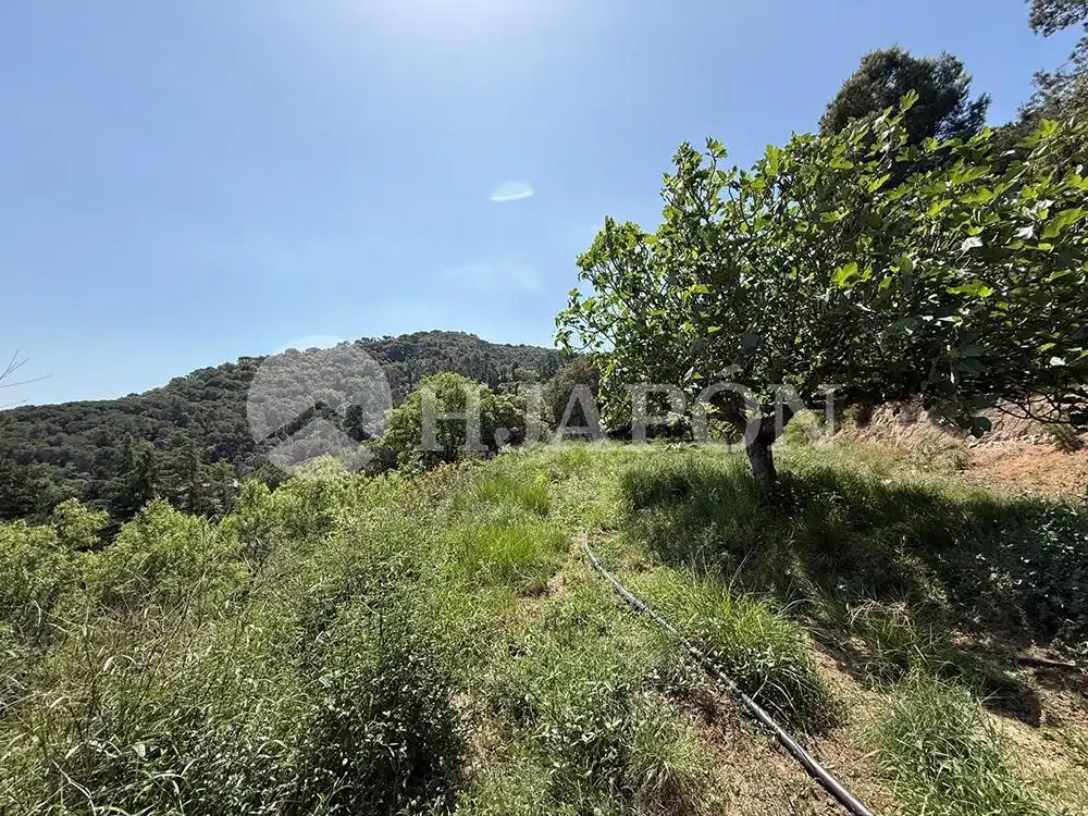 Terreny residencial en venda a Vallromanes, imagen 4