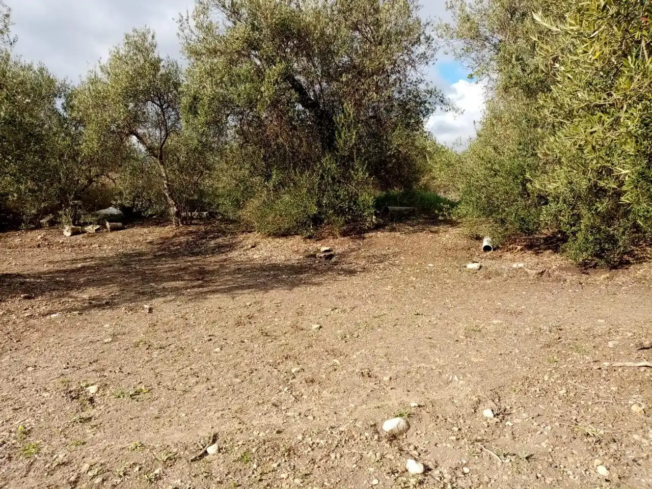 Rural land for sale in Arahal, imagen 3