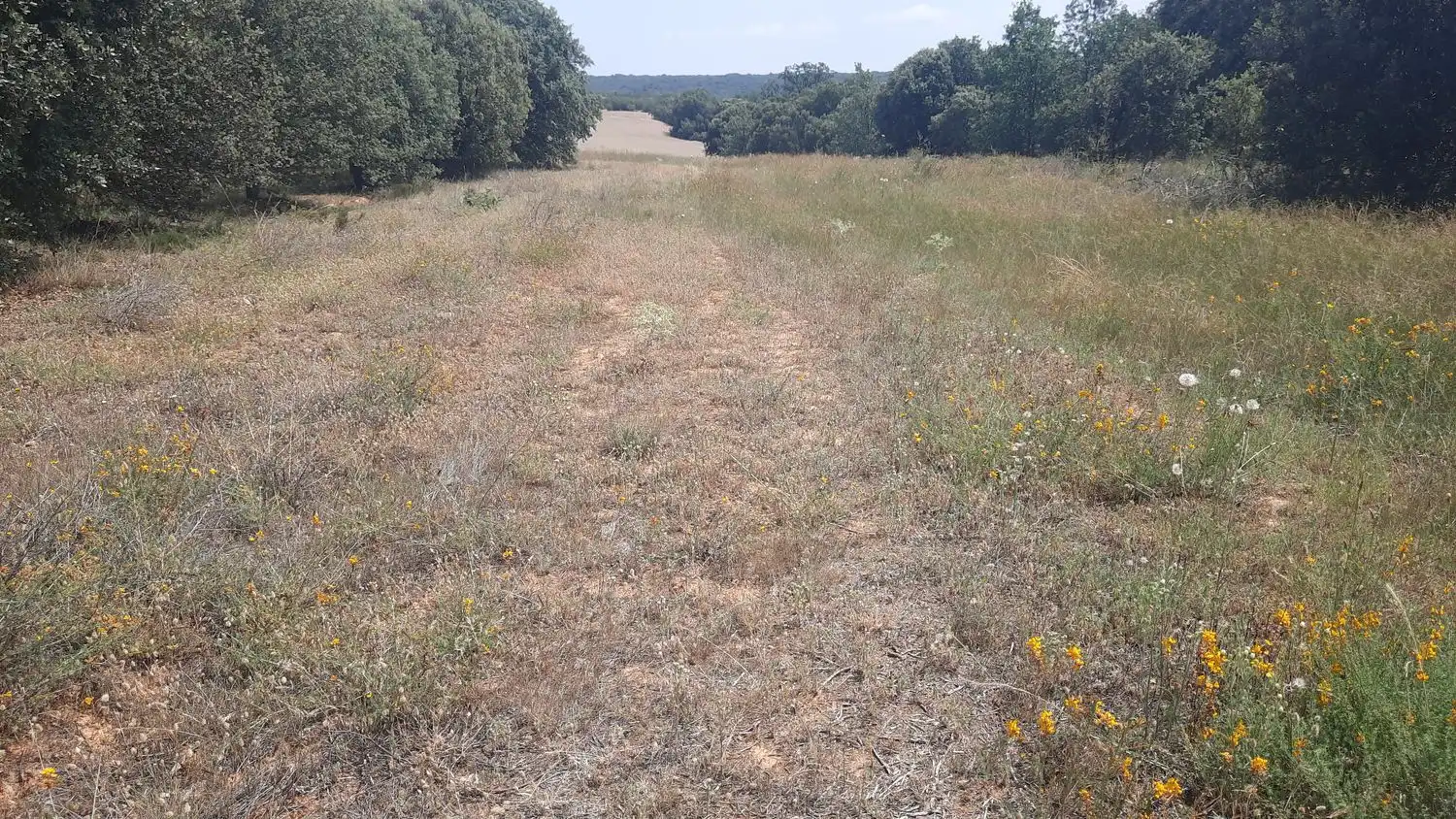 Residencial en venta en Villares de Órbigo