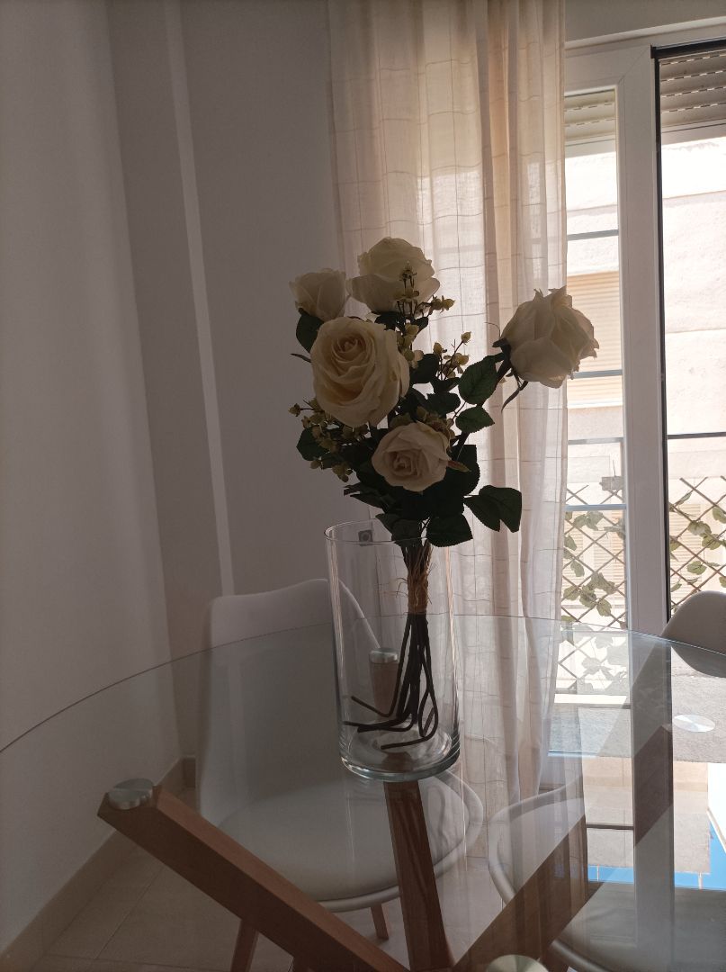 Dining room of Flat to rent in El Ejido  with Furnished, Microwave and Balcony