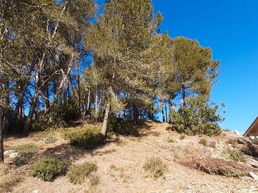 Terreny residencial en venda a Via Abadia de Poblet 10