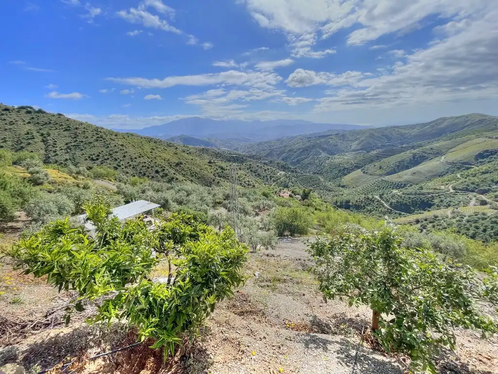 Casa rústica con piscina en venta en El Borge, imagen 37