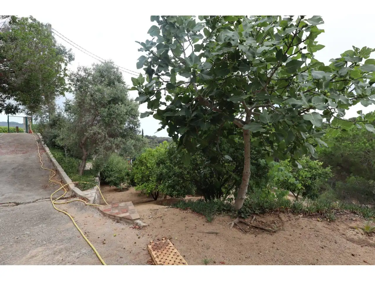Wohnbaugrundstück zum Verkauf in Calle Castelló, imagen 8