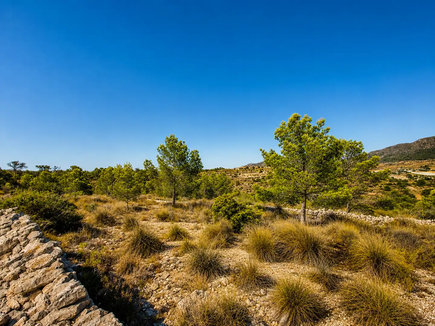 Terreno en venta en La Romana