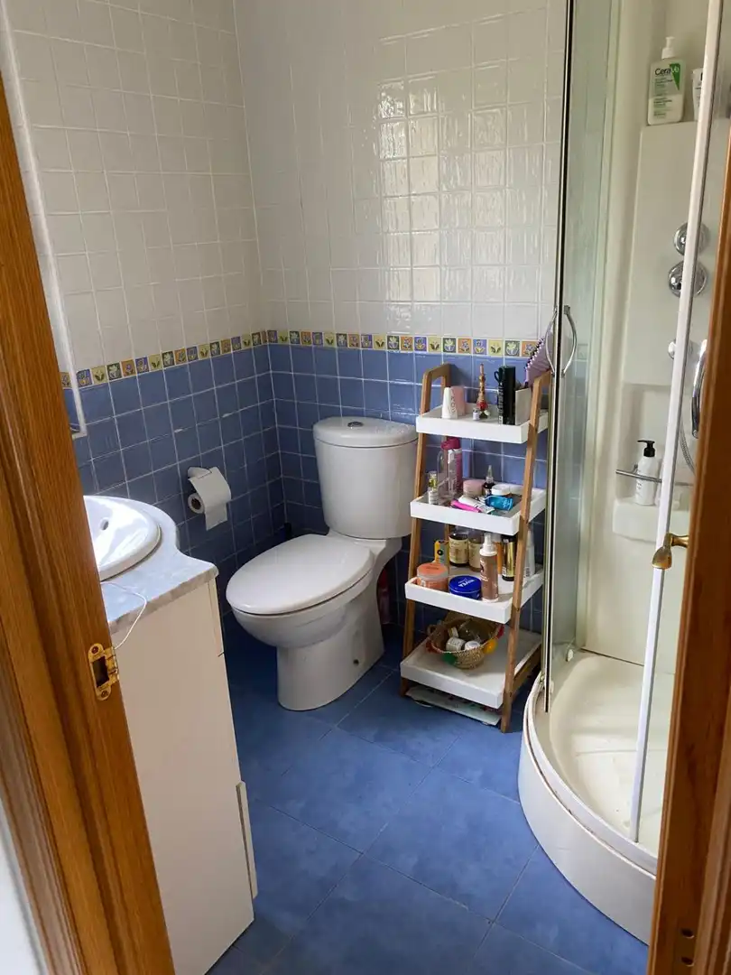Bathroom of Houses for rent in Las Regueras    with Heating, Terrace and Furnished