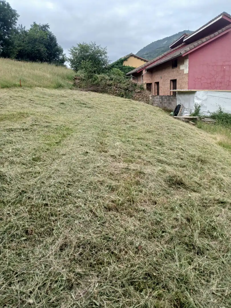 Casa o chalet en venta en Caso