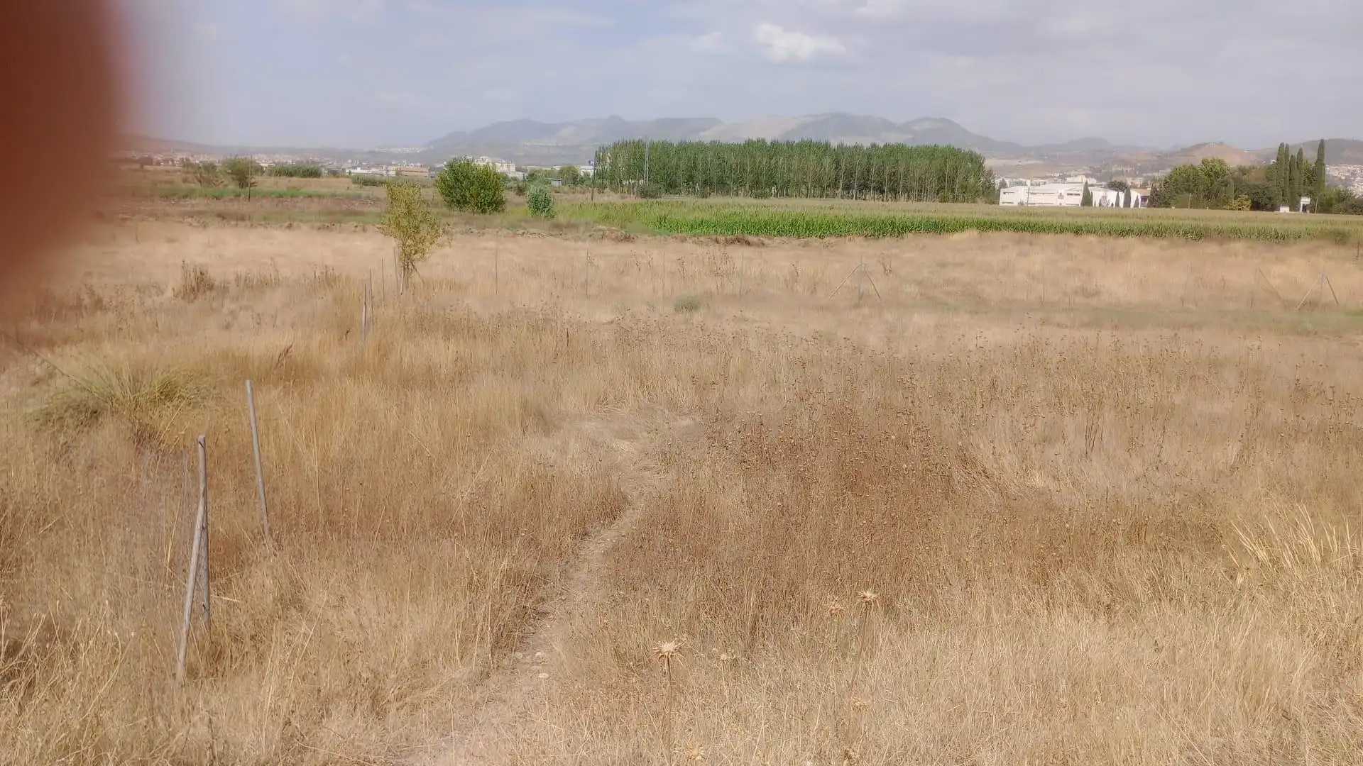 Terreno rustico in vendita a Ronda, imagen 4