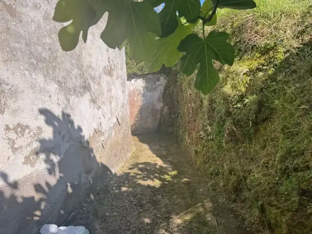 Vista exterior de Casa o xalet en venda en Castropol