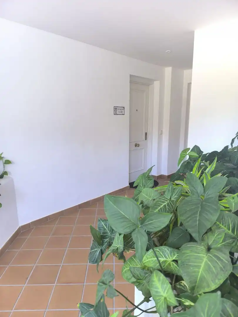 Flat for rent in Marbella  with Private garden, Terrace and Storage room