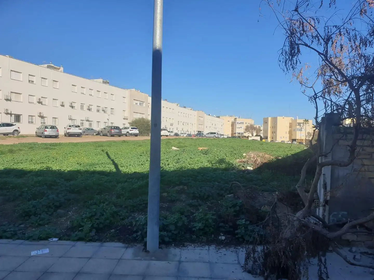 Terreni e lotti in vendita a Marchena, imagen 6