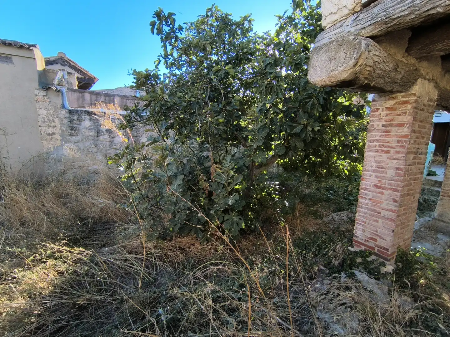 Haus mit Garten zum Verkauf in Calle Abilio Calderón 3, imagen 46