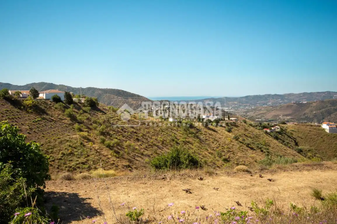Casa rústica en venta en Canillas de Aceituno, imagen 38
