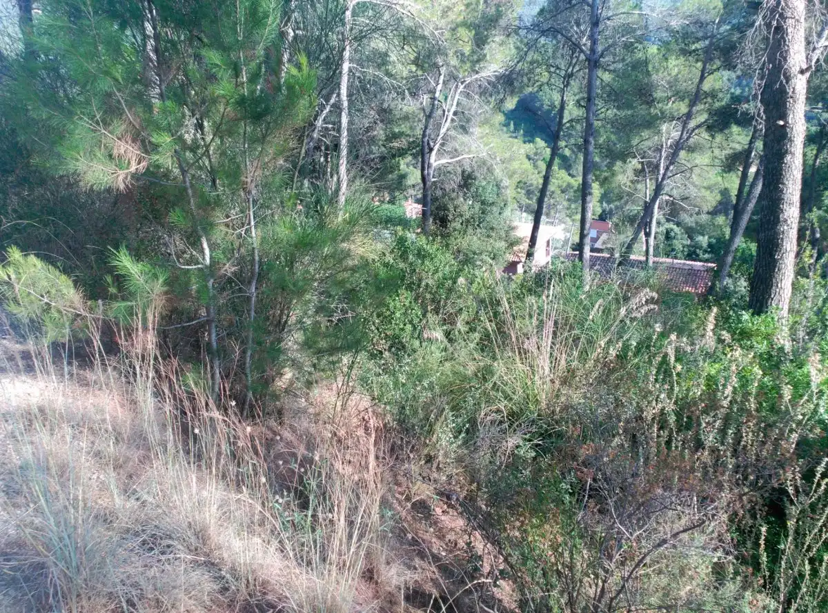 Terreni e lotti in vendita a Corbera de Llobregat, imagen 41
